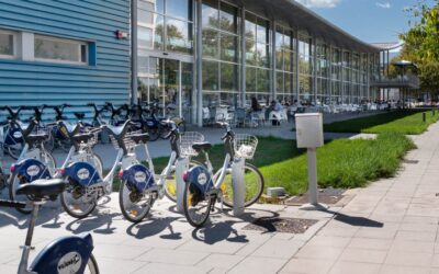 La UPV, entre las 250 universidades del mundo más comprometidas con el medio ambiente, según el UI GreenMetric